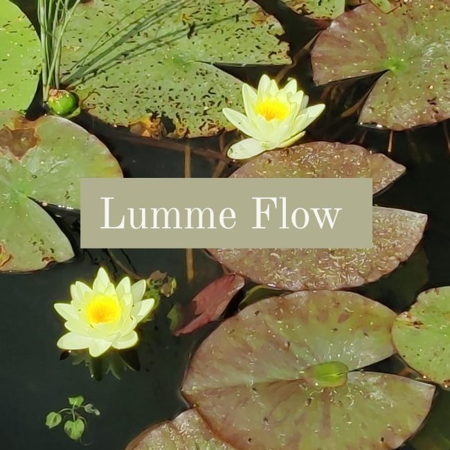 Lumme Flow:n symboliikkaa Lumme Flow:n symboliikkaa